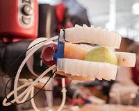 MIT's egg-clutching robot has soft but steady hands