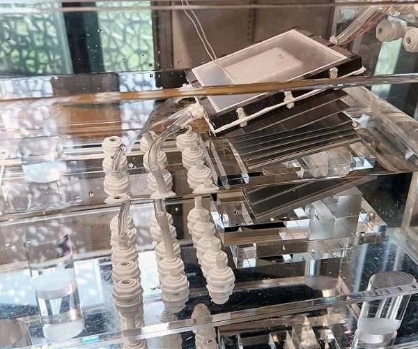 Desalination system could produce freshwater that is cheaper than tap water