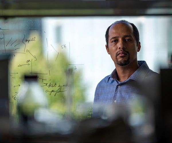 Fikile Brushett is looking for new ways to store energy