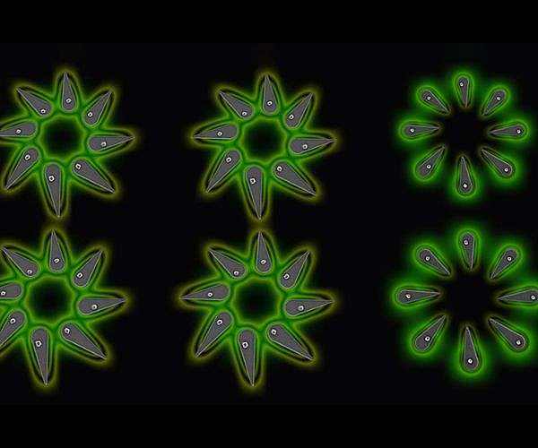 New insights into halide perovskites could transform solar cell technology