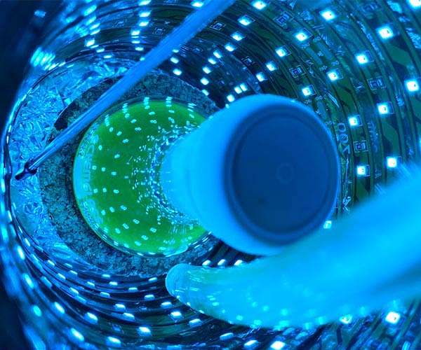 New light-powered catalysts could aid in manufacturing