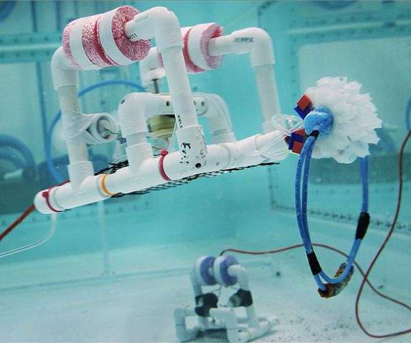 SeaPerch: A robot with a mission