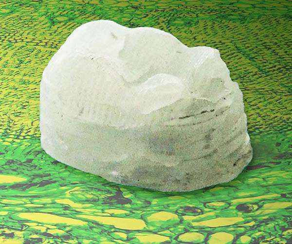 New plant-derived composite is tough as bone and hard as aluminum