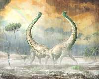 Male, female dinosaur fossils too similar to distinguish, researchers say