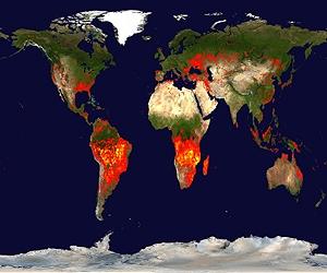 Wildfires: A Symptom Of Climate Change