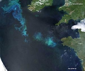 Small organisms could dramatically impact world's climate
