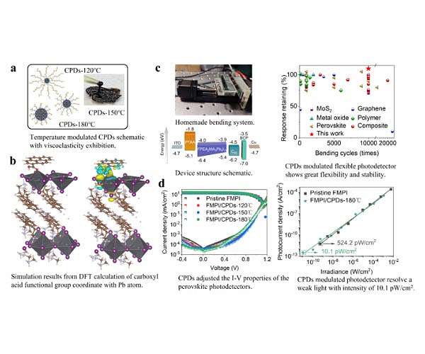 Carbonized polymer dots enhanced stability and flexibility of quasi-2D perovskite photodetector