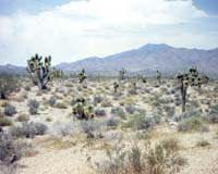 Special Coating Greatly Improves Solar Cell Performance