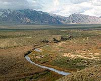 Mojave Desert Contributes More Than A Billion Dollars Annually To California