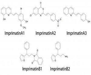Screening technique uncovers five new plant activator compounds