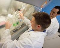 Building a biofuel-boosting Swiss Army knife
