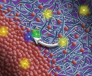 New path to more efficient organic solar cells uncovered at Berkeley Lab's advanced light source