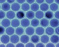 Shedding light on the formation of nanodroplets in aqueous