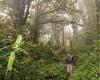 New trial opens in Costa Rica environmentalist's murder