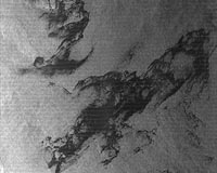 TerraSAR-X Image Of The Month: Oil Disaster Off The Australian Coast