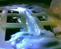 Seed of moon's first sprout: Chinese scientists' endeavor