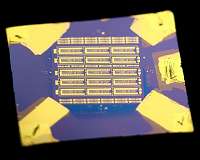 Flexible processors with atomically thin materials