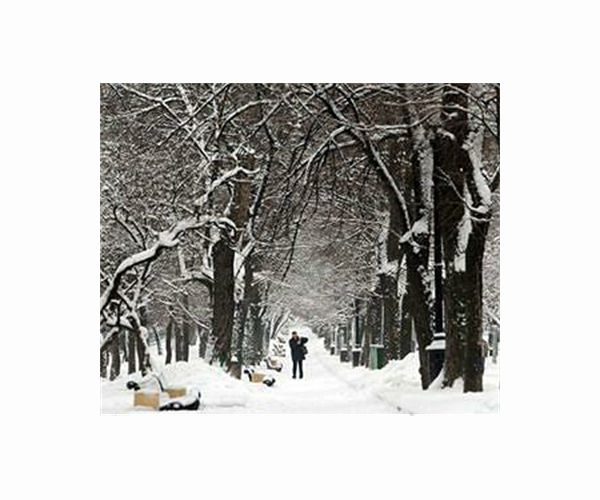 Moscow braces for record-breaking 'snowpocalypse'