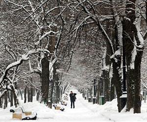 Will The Ice Age Strike Back