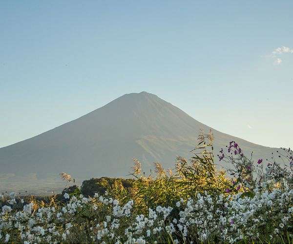 Snow forecast next week on Mt Fuji, at last