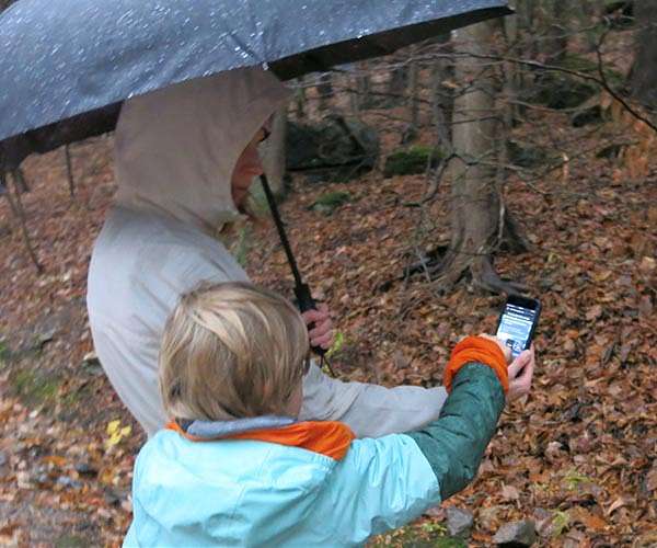 'Mountain Rain or Snow' seeks citizen scientists and winter storm reports