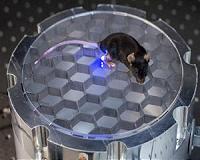 Wireless, implantable device to stimulates nerves in mice