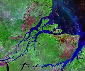 Amazon River exhales virtually all carbon taken up by rain forest