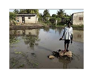 Red Cross appeals for $3 mln for Mozambique cyclone victims
