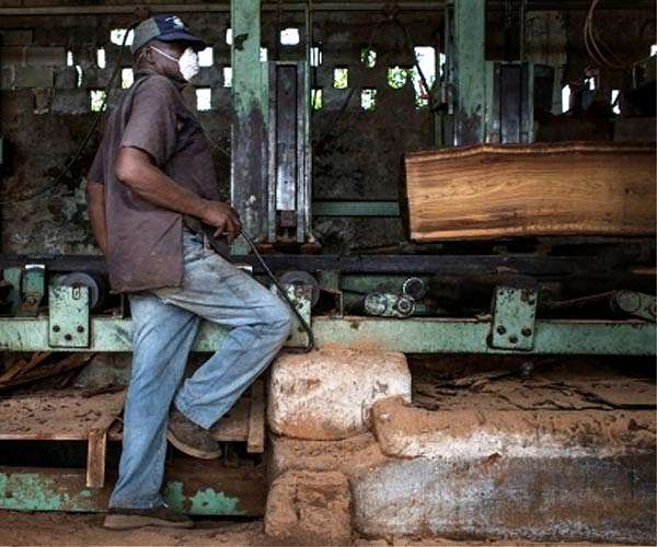 Relief and despair: repeal of logging ban divides Kenya