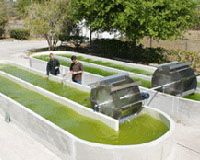 K-State Engineers Study Surface Texture And Algae Growth