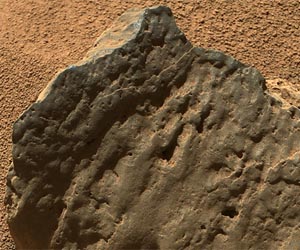 Continuing Work With Scoops at 'Rocknest'