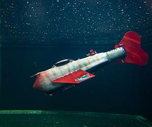 Robofish Grace glides with the greatest of ease