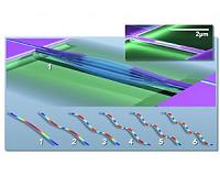Weighing - and imaging - molecules one at a time