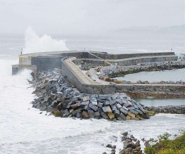 Seeking new energy solutions from the sea in wave power biofuel and beyond