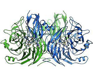 A new genre of 'intelligent' micro- and nanomotors