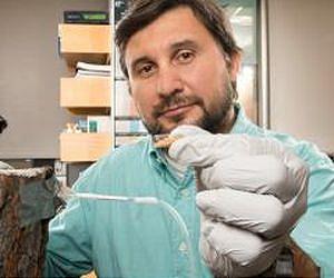 Bait research focused on outsmarting destructive beetle