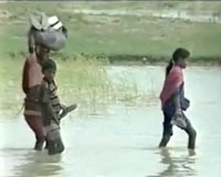 Namibia flood situation still disastrous': officials