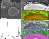 Tungsten as interstellar radiation shielding?