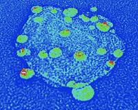 Tiny diamonds could enable huge advances in nanotechnology