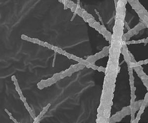 Nanofibers clean sulfur from fuel