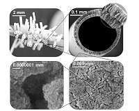 Penn engineers develop filters that use nanoparticles to prevent slime build-up