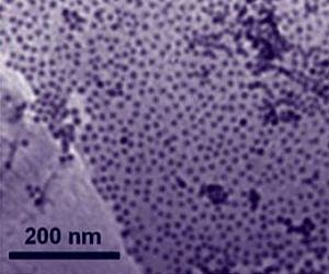 New cobalt-graphene catalyst could challenge platinum for use in fuel cells