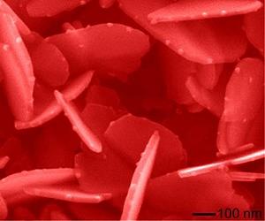 Breakthrough In Nanocrystals Growth