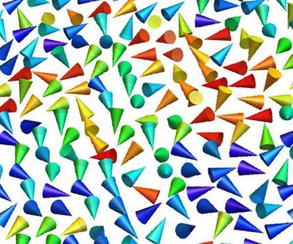 Giant Rashba semiconductors show unconventional dynamics