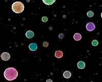 Gem-like nanoparticles of precious metals shine as catalysts