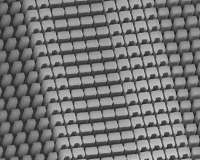 Two holograms in one surface