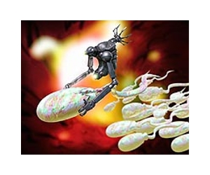 Harvard's Wyss Institute develops DNA nanorobot to trigger targeted therapeutic responses