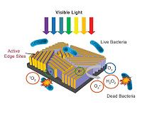 SLAC, Stanford gadget grabs more solar energy to disinfect water faster