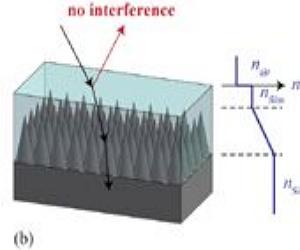 Moth-Inspired Nanostructures Take the Color Out of Thin Films
