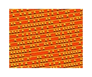 Holding Steady In An Atomic-Scale Tug-Of-War